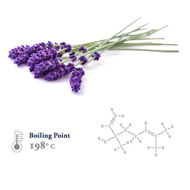 Linalool example and molecular structure
