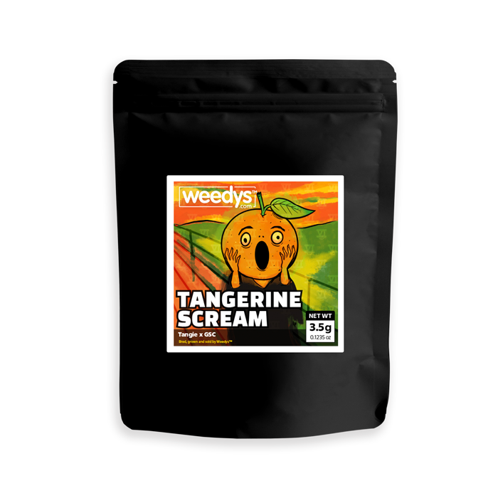 Eight Mylar Tangerine Scream Eight Mylar Tangerine Scream