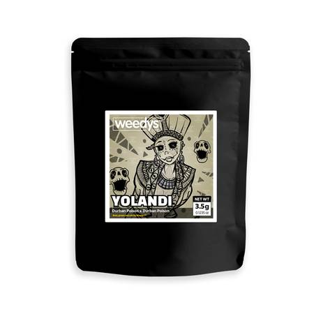 Eight Mylar Yolandi