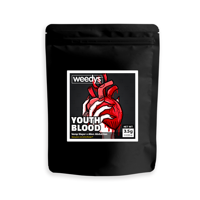 Eight Mylar Youth Blood Eight Mylar Youth Blood