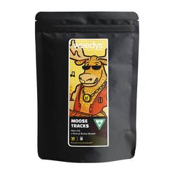 [MYLAR Mock]MooseTracks 2026