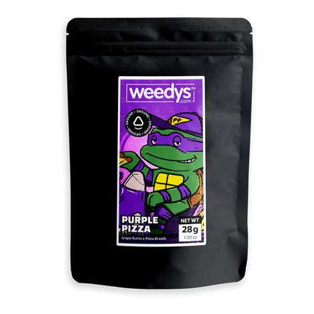 Purple Pizza v2025 ground