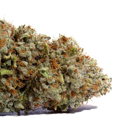 Weedys Alien Dawg | 1g | Preroll product image