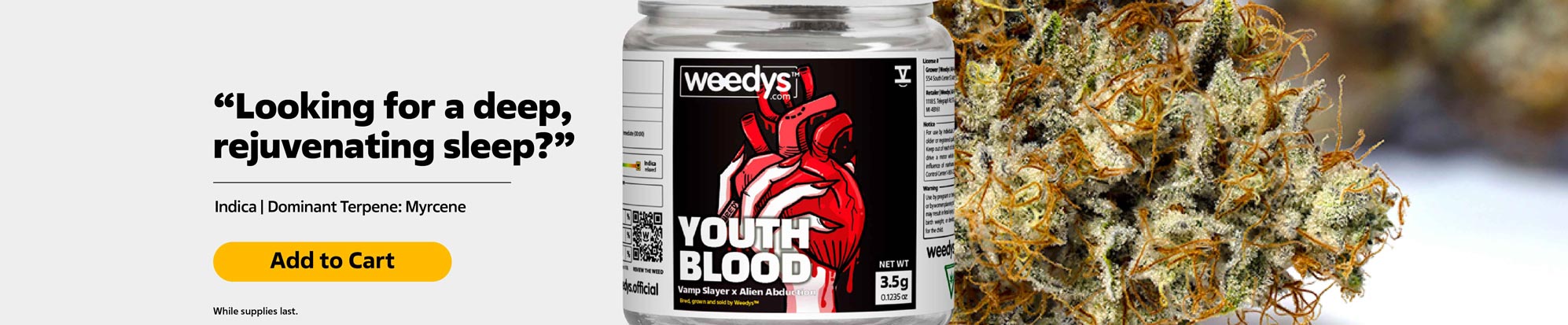 Weedys Youth Blood Desktop Banner v2