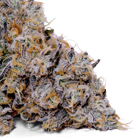 Melonade Strain – Fruity, Gassy Hybrid from Weedy’s