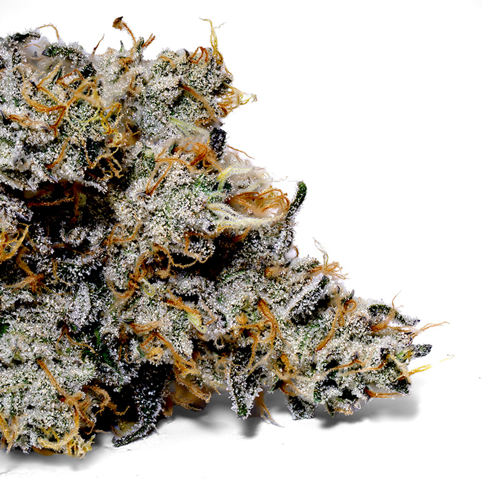 Weedys SNEAKERZ Tip Weedys SNEAKERZ Tip