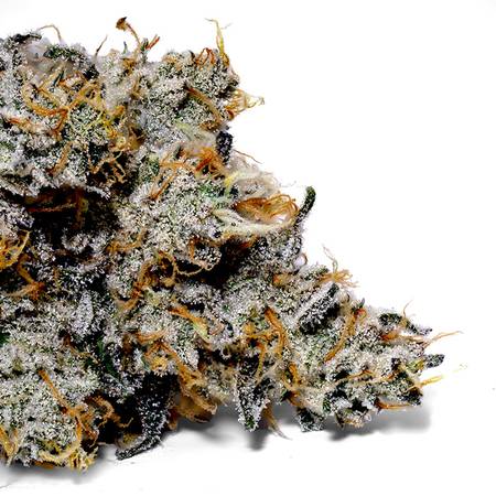 Weedys SNEAKERZ Tip