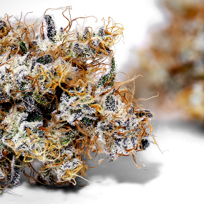 Weedys Spitfire OG JG Weedys Spitfire OG JG