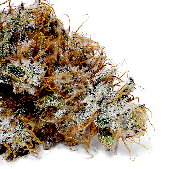 Weedys Spitfire OG Tip Weedys Spitfire OG Tip
