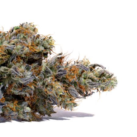 Weedys Prince Arthur product image