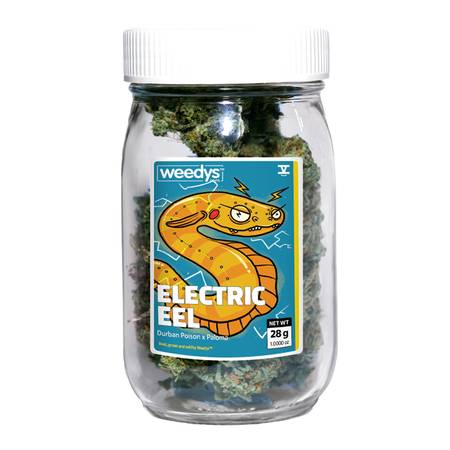 Weedys Electric Eel Stash Jar