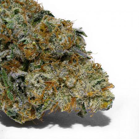 Apollo Chem Flower