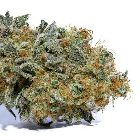 Blood Orange #7 Flower