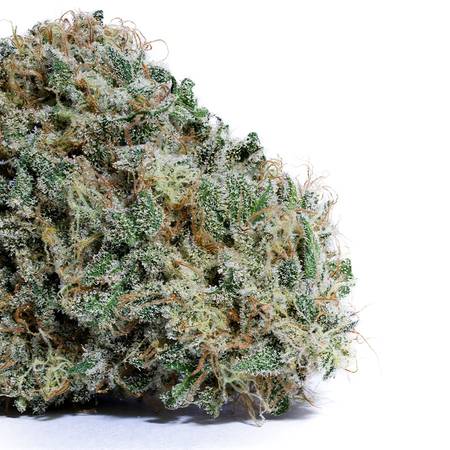 Blood Orange No.5 Flower