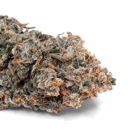 Durban Poison Flower