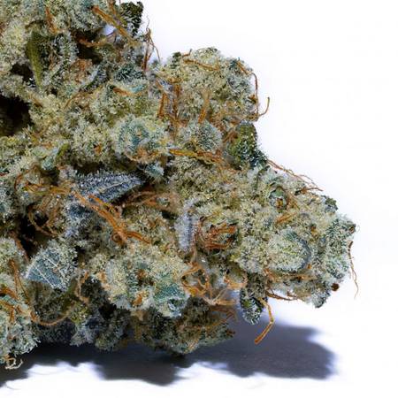 Freezer Burn Flower