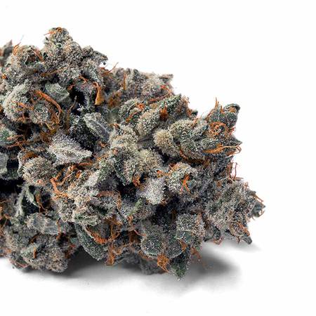 Granddaddy Baner Flower