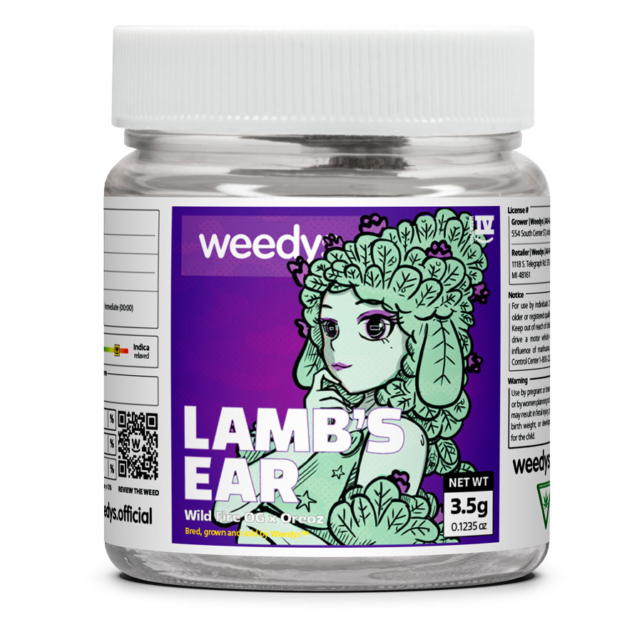 Weedys Lamb’s Ear Strain