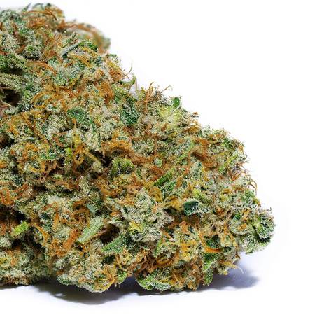 Mojito Jedi Flower