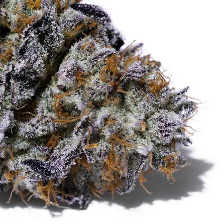 Oreoz Flower