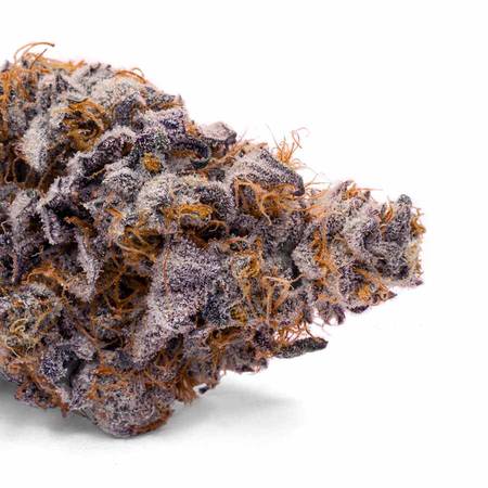 Pizza Breath Flower