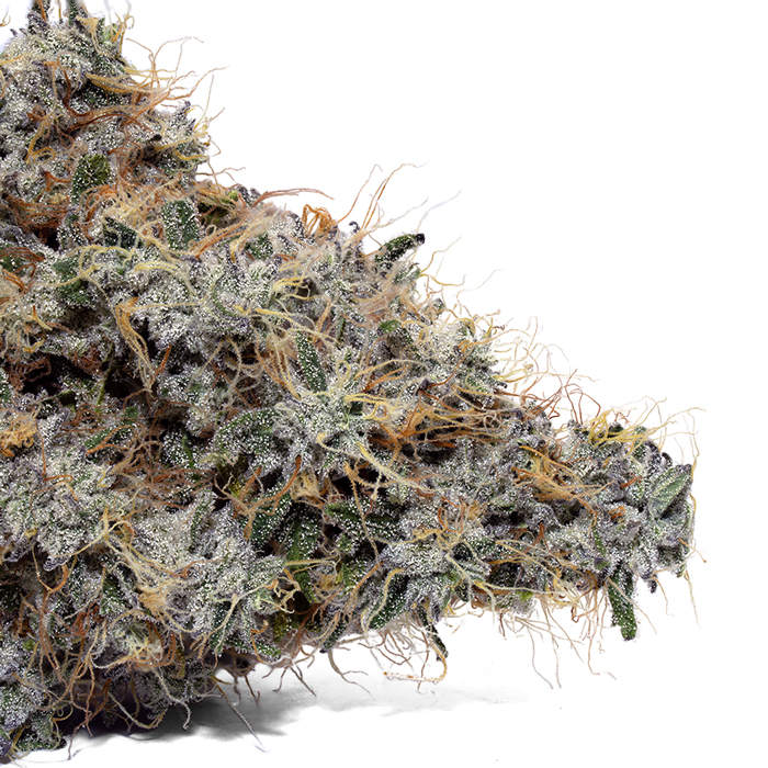 Weedys Supreme Zaza Tip