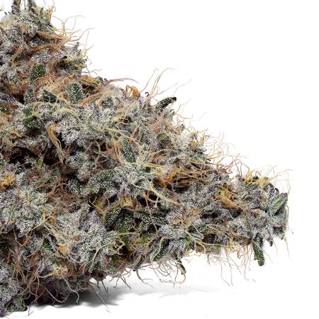 Weedys Supreme Zaza Tip