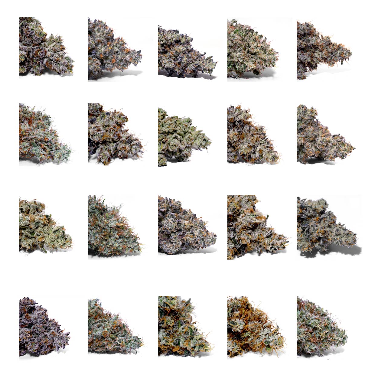 Weedys 20flower multipack Weedys 20flower multipack