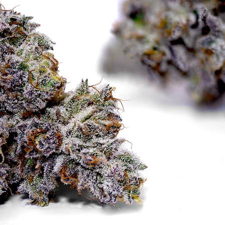 Weedys Black Cherry JG