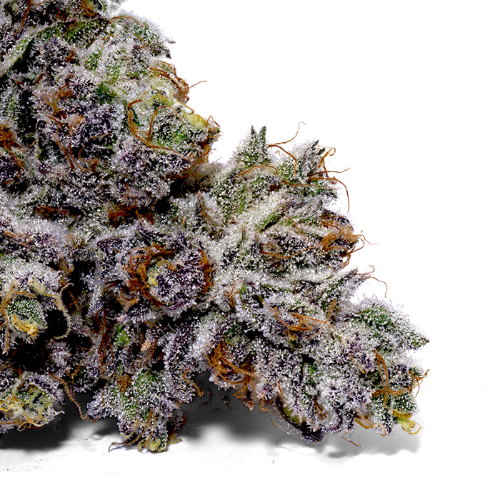 Weedys Black Cherry Tip Weedys Black Cherry Tip