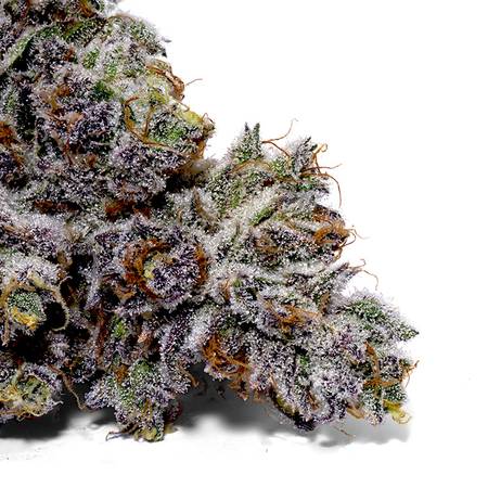 Weedys Black Cherry Tip
