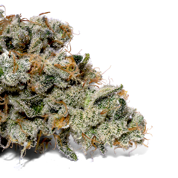 Weedys Creme Brulee Tip Weedys Creme Brulee Tip