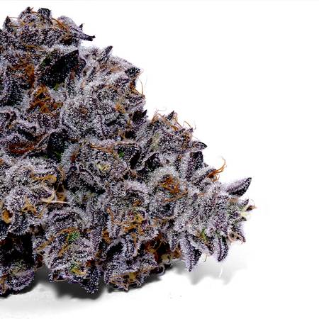 Double Stuffed Strain – Oreoz x Sour OG | Creamy Diesel Hybrid