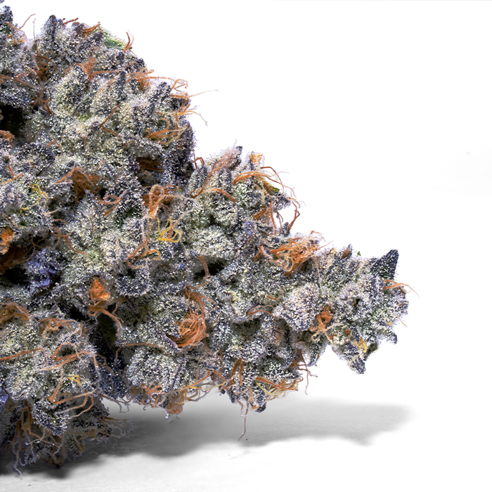 Double Stuffed Strain – Oreoz x Sour OG | Creamy Diesel Hybrid Double Stuffed Strain – Oreoz x Sour OG | Creamy Diesel Hybrid