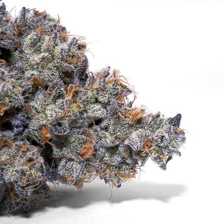 Double Stuffed Strain – Oreoz x Sour OG | Creamy Diesel Hybrid