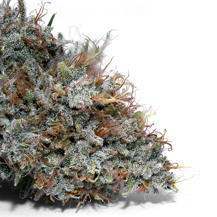 Weedys Gas Mints Tip Weedys Gas Mints Tip