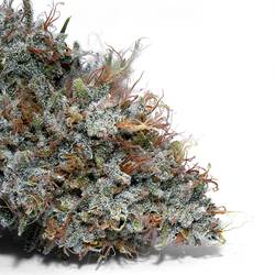 Weedys Gas Mints Tip