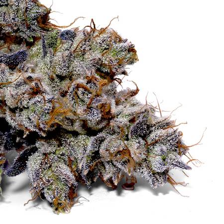 Weedys Gaslight OG Tip