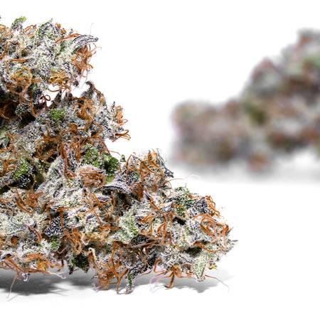 Weedys Gasolina JG