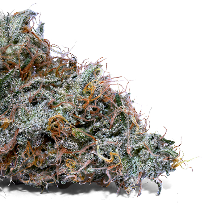 Weedys Gelato Diesel Tip Weedys Gelato Diesel Tip