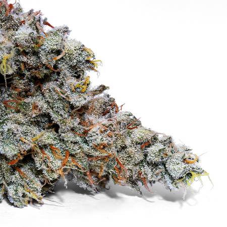 Weedys Lemon Meringue Tip