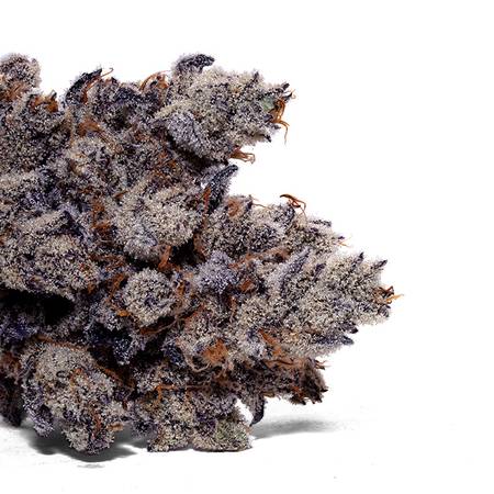 Weedys Lime Sorbet Tip Dry