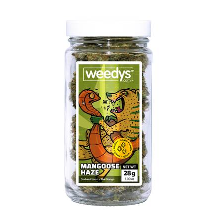 Weedys Mangoose Haze Smalls Jar v2025