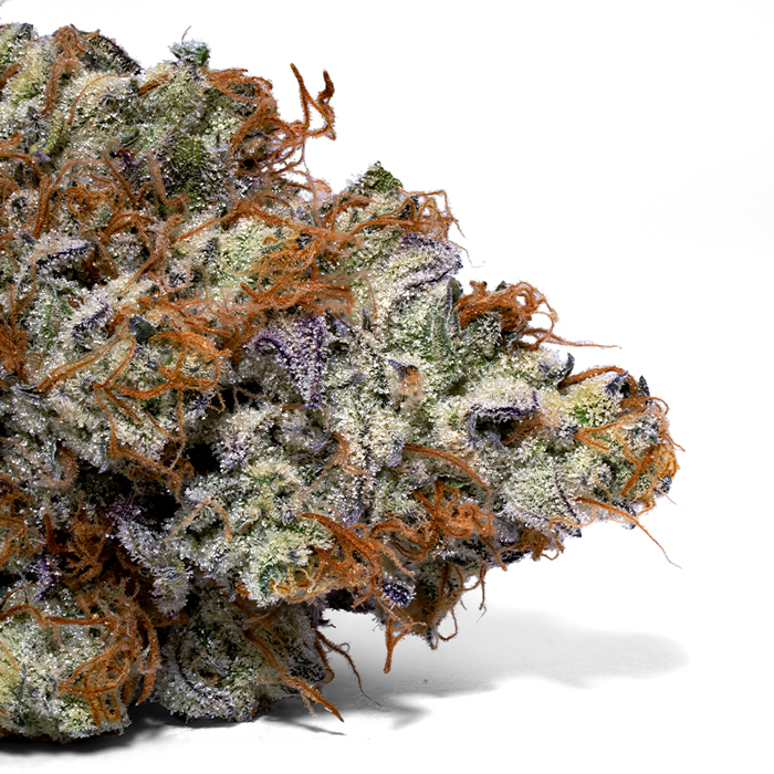 Weedys Medusa Tip Dry