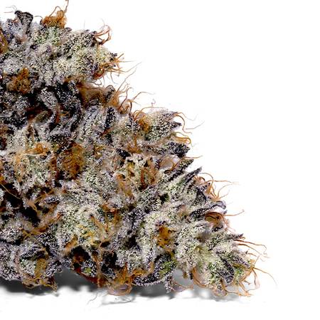 Weedys Nacho Weed Tip