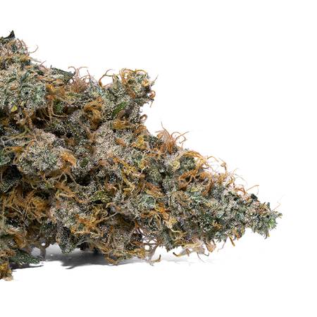 Weedys SNEAKERZ Dry Tip v2