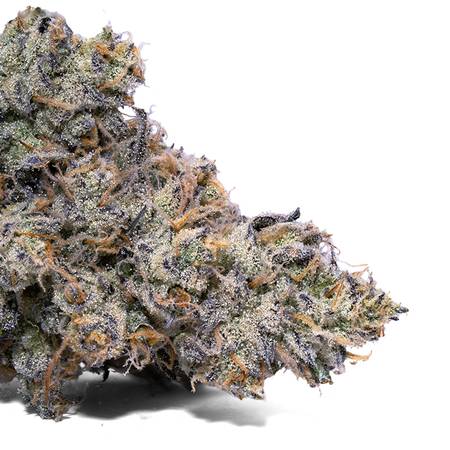 Tangerine Scream Weed Strain – Tangie x GSC | Citrus & Uplifting