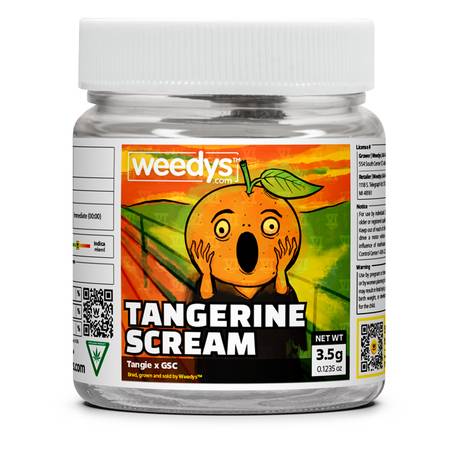 Tangerine Scream Weed Strain – Tangie x GSC | Citrus & Uplifting