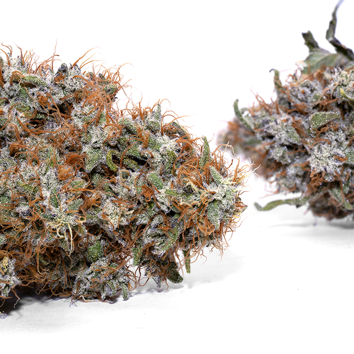 Wookie Dawg — PK-18