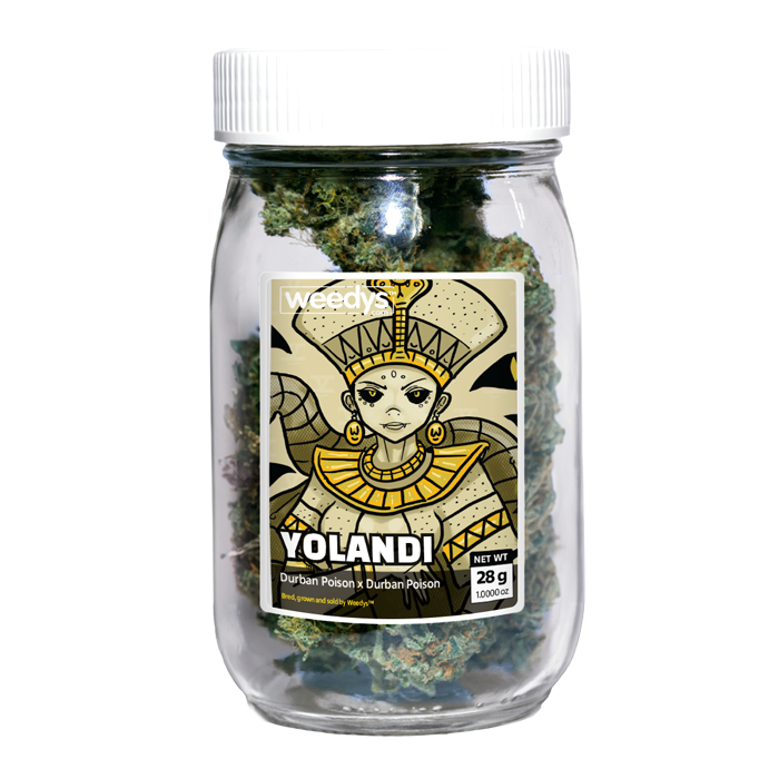 Weedys Yolandi Stash Jar v2 Weedys Yolandi Stash Jar v2